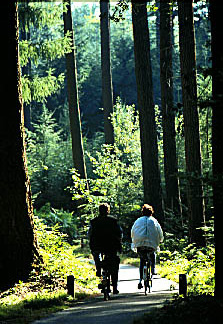 © www.nunspeet.net